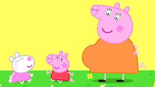 Peppa Pig Português Brasil 🍼Bebês!, HD